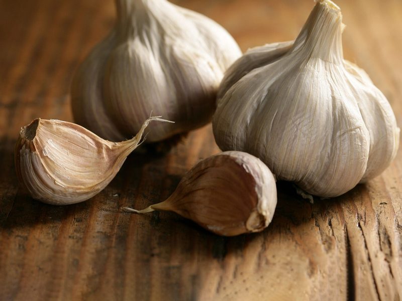Garlic-Allium_sativum