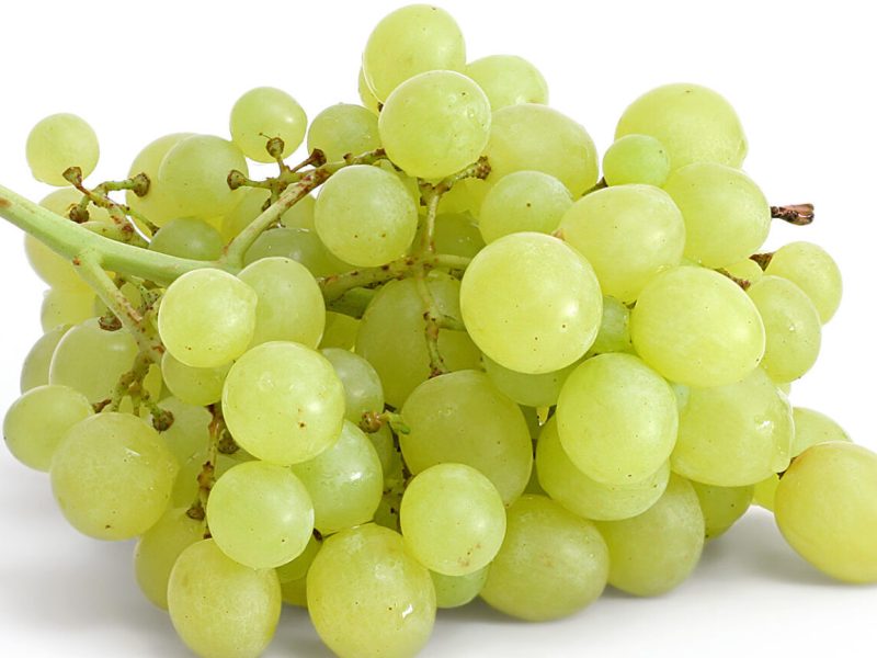 Table_grapes_on_white-1536x1024